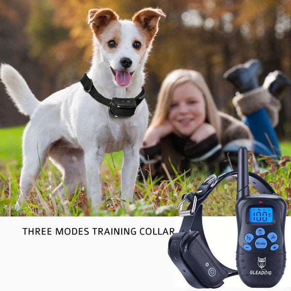 Dog Training Collar/Dog Shock Collar--1300 ft Remote Range-- Rechargeable/Waterproof IP67-G98N