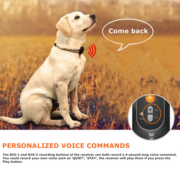 Dog Training Collar/Dog Shock Collar--2000 ft Remote Range--Personalized Voice Commands-GPS6