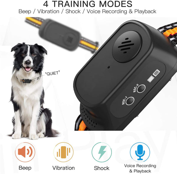 Dog Training Collar/Dog Shock Collar--2000 ft Remote Range--Personalized Voice Commands-GPS6