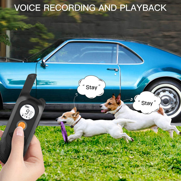 Dog Training Collar/Dog Shock Collar--2000 ft Remote Range--Personalized Voice Commands-GPS6