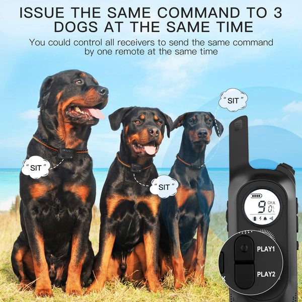 Dog Training Collar/Dog Shock Collar--2000 ft Remote Range--Personalized Voice Commands-GPS6