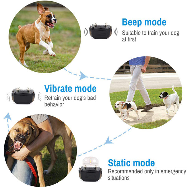 [Version for 2 Dogs] Dog Training Collar/Dog Shock Collar--1000 ft Remote Range-- Rechargeable/Rainproof IP3-G812