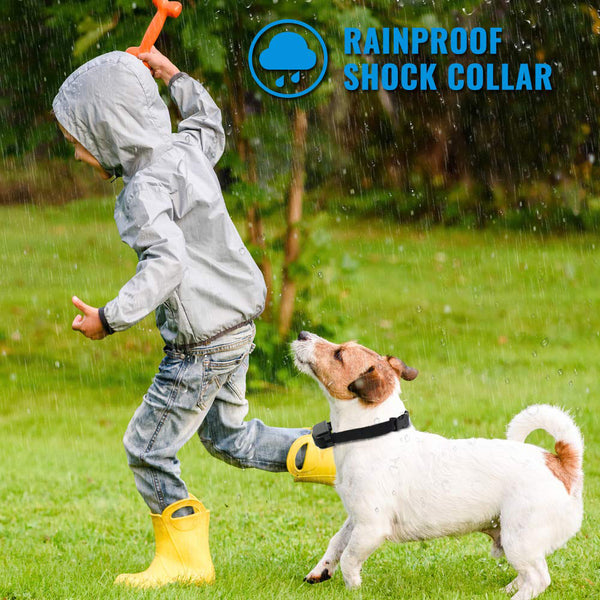 [Version for 2 Dogs] Dog Training Collar/Dog Shock Collar--1000 ft Remote Range-- Rechargeable/Rainproof IP3-G812
