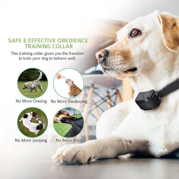 Dog Training Collar/Dog Shock Collar--1000 ft Remote Range-- Rechargeable/Rainproof IP3-G81